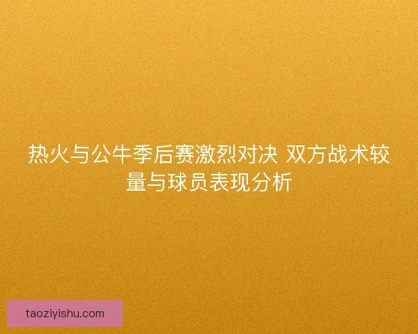 热火与公牛季后赛激烈对决 双方战术较量与球员表现分析
