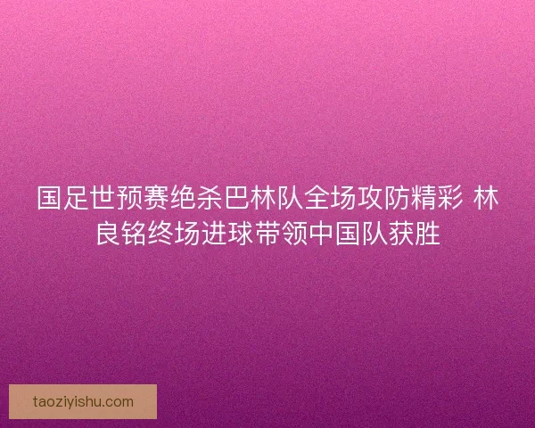 国足世预赛绝杀巴林队全场攻防精彩 林良铭终场进球带领中国队获胜